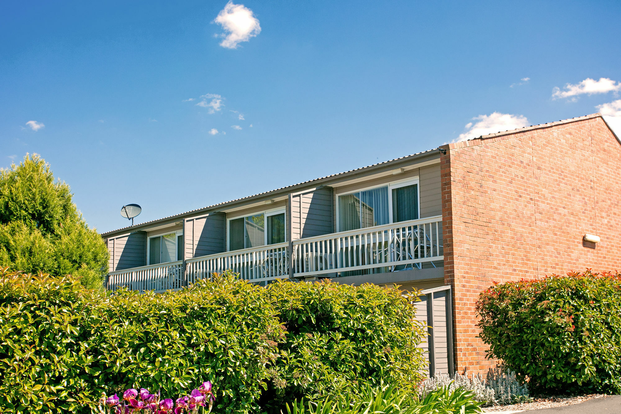 Bathurst Studio Apartments מראה חיצוני תמונה